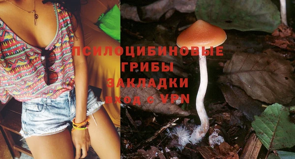 mix Арсеньев