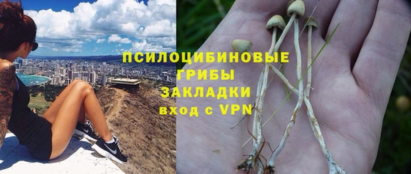 а пвп мука Армянск