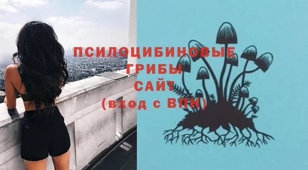 mix Арсеньев