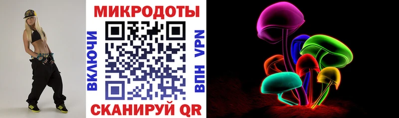 Купить где  Братск  Галлюциногенные грибы Psilocybine cubensis 