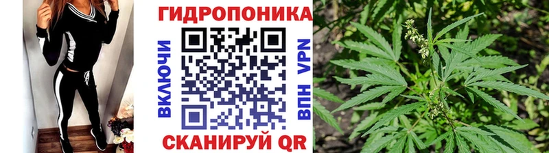 Купить где  Братск  Бошки марихуана Bruce Banner 